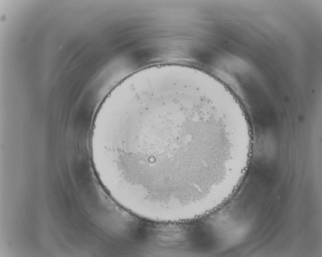 X0000081301338200701251708