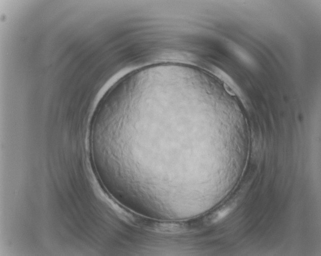 X0000081301339200701251708