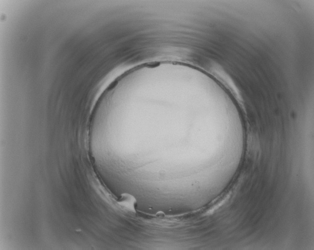 X0000081301340200701251708