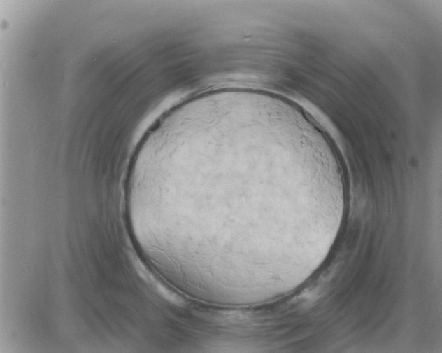 X0000081301341200701251708