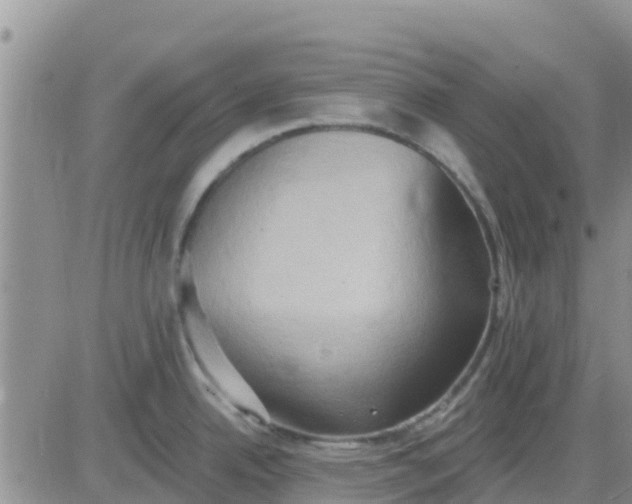 X0000081301342200701251708