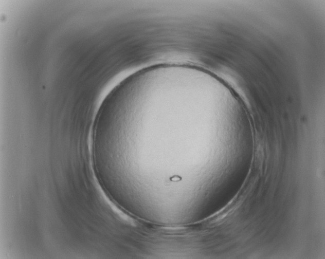 X0000081301343200701251708