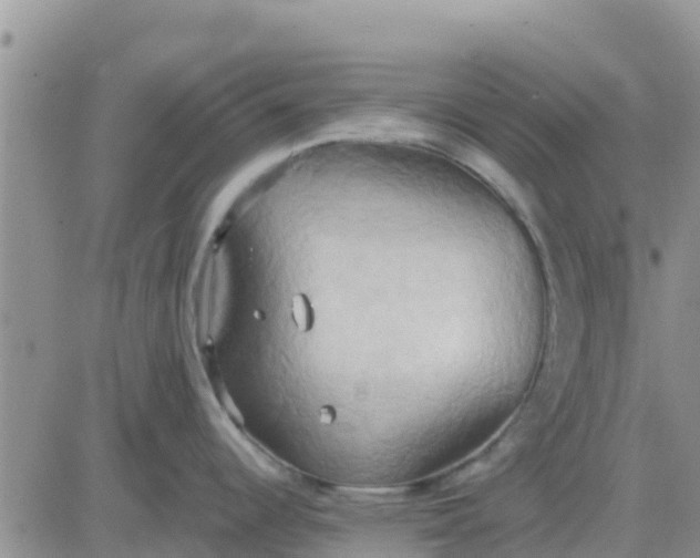 X0000081301344200701251708