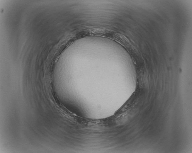 X0000081301345200701251708