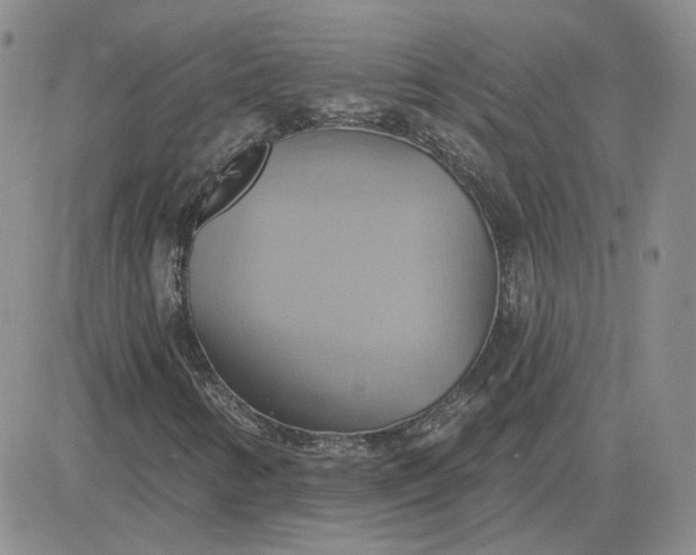 X0000081301346200701251707