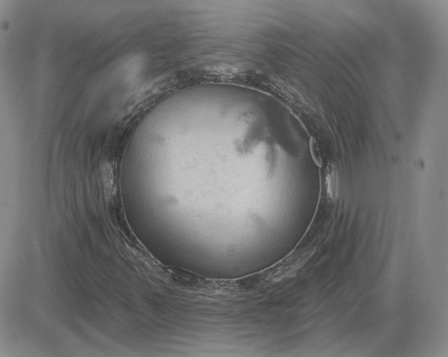 X0000081301347200701251707