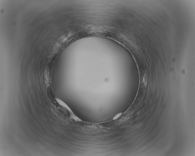 X0000081301348200701251707