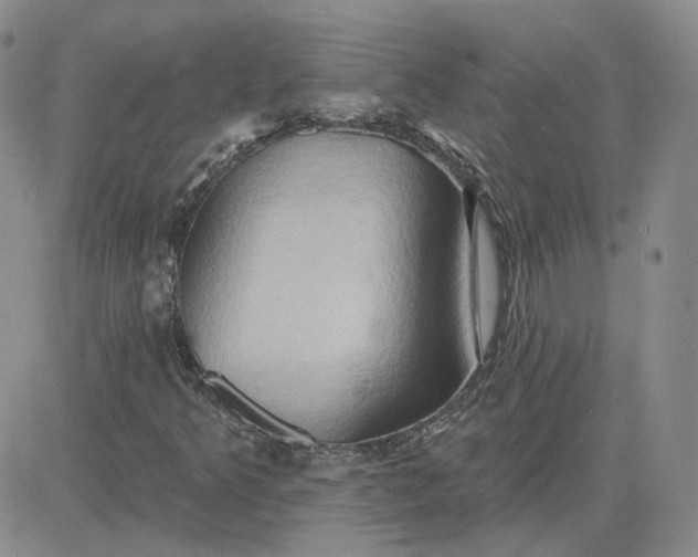 X0000081301349200701251707