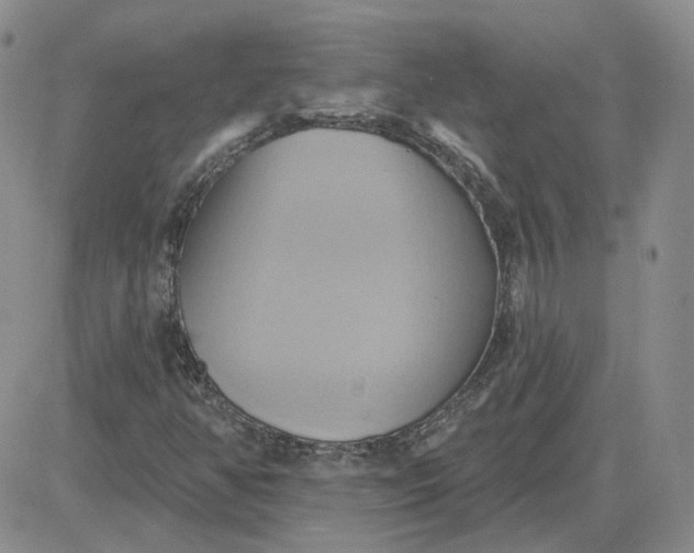 X0000081301350200701251707