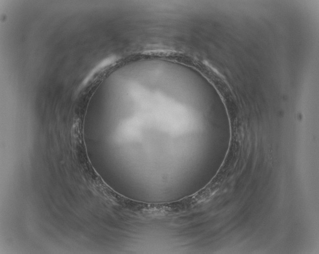 X0000081301351200701251707