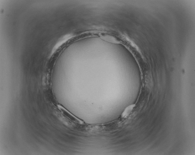 X0000081301352200701251707