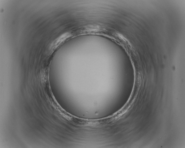 X0000081301353200701251707