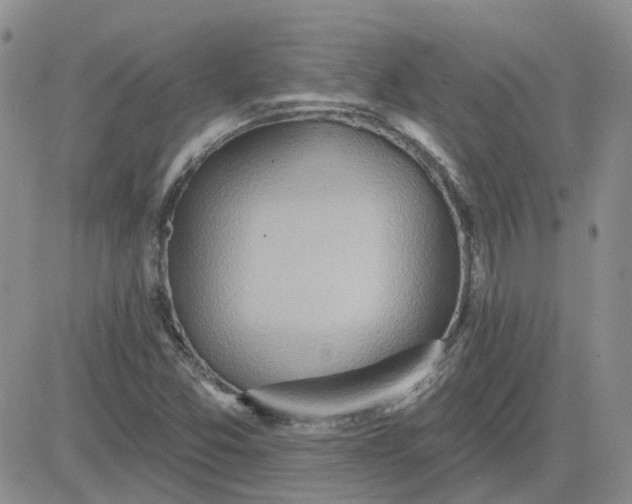 X0000081301357200701251707