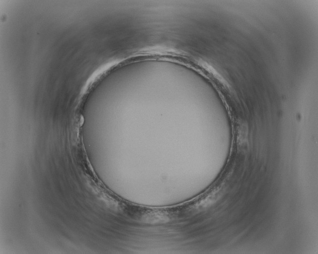 X0000081301358200701251707