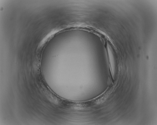 X0000081301359200701251707