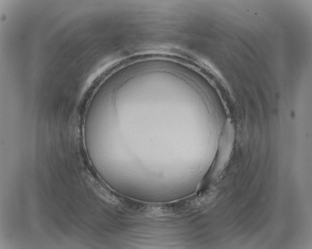 X0000081301360200701251707