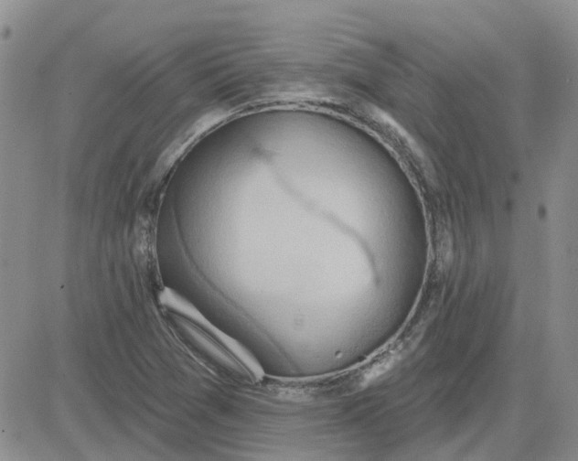 X0000081301361200701251707