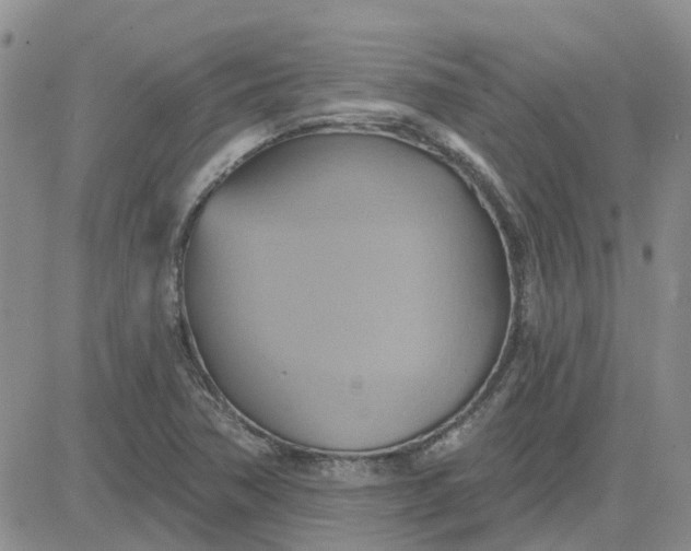 X0000081301362200701251707