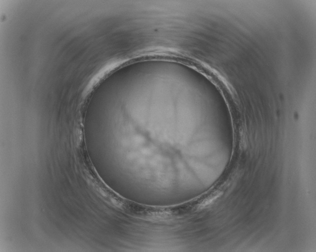 X0000081301363200701251707