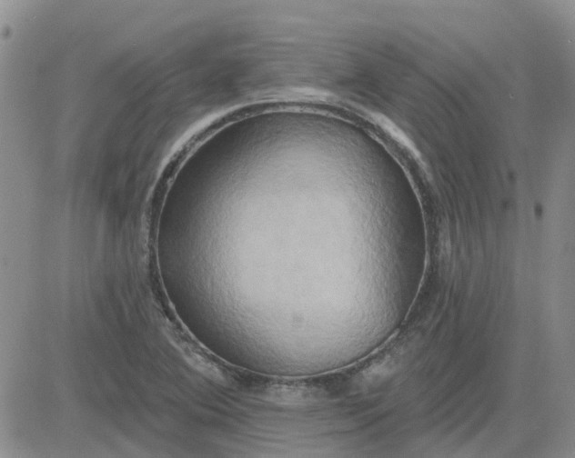 X0000081301364200701251707