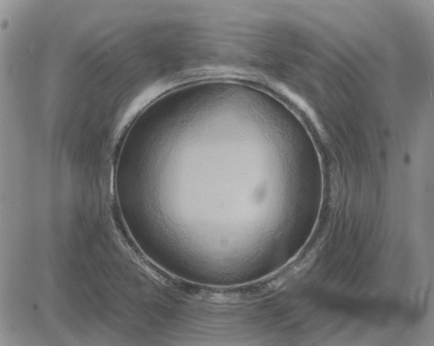 X0000081301365200701251707