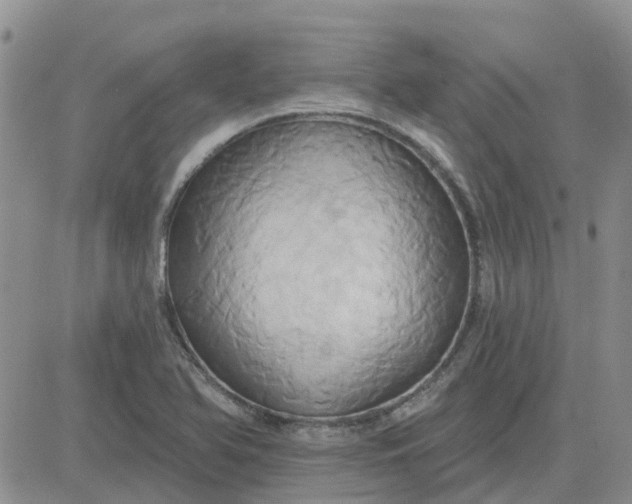 X0000081301366200701251707