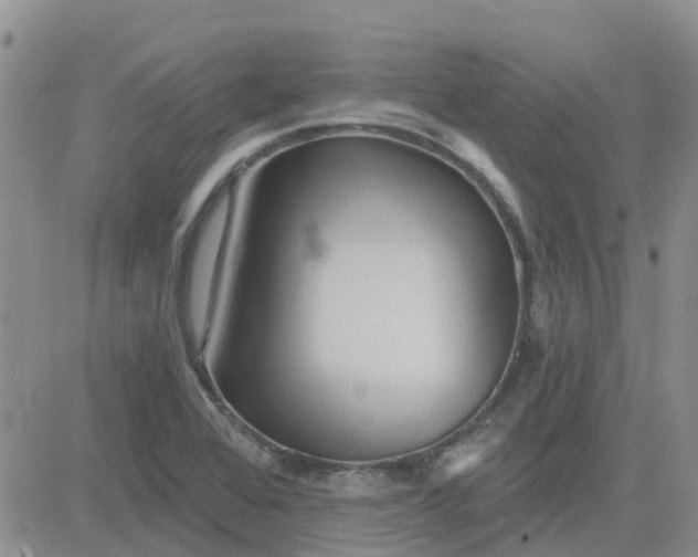 X0000081301368200701251707