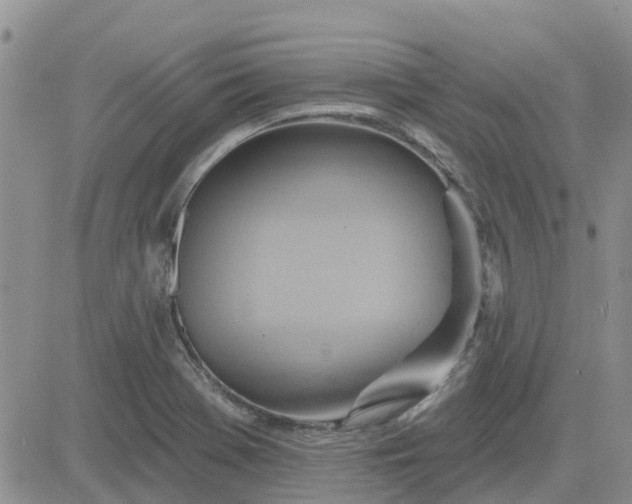 X0000081301369200701251707