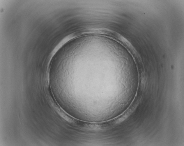 X0000081301370200701251707