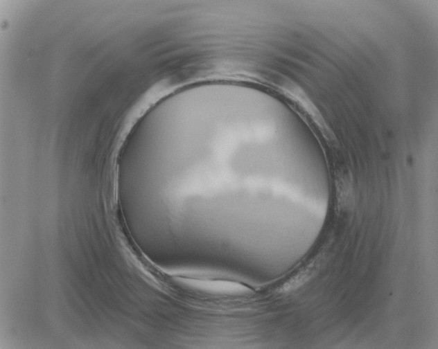 X0000081301371200701251707