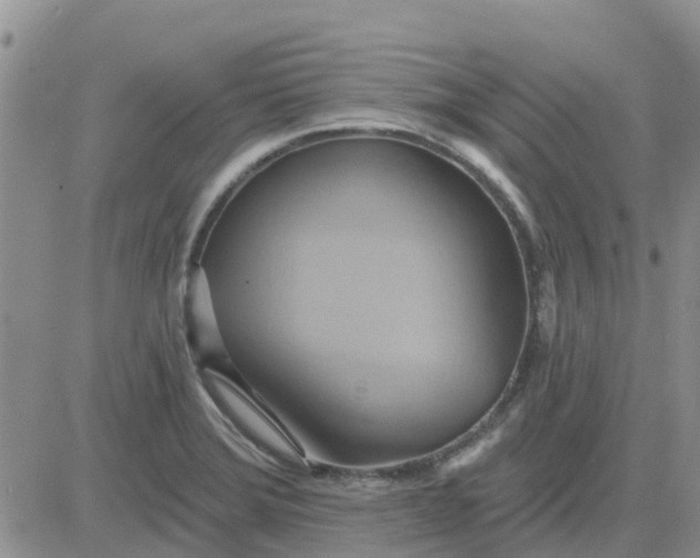 X0000081301372200701251707