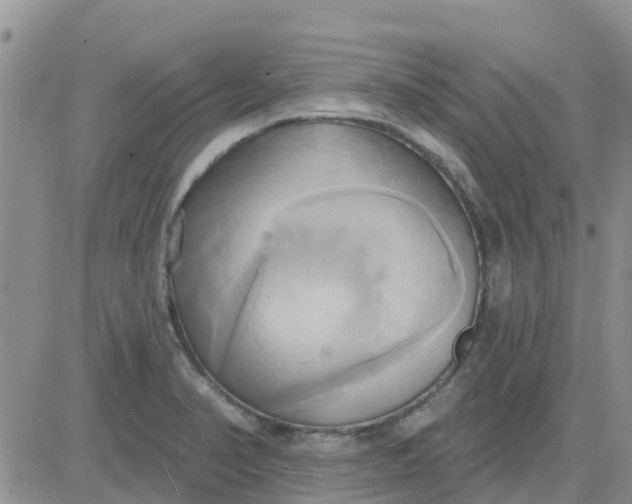 X0000081301374200701251707