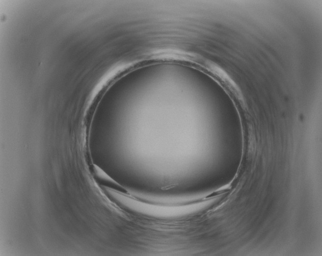 X0000081301376200701251707