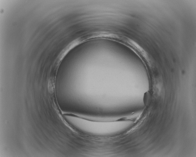 X0000081301377200701251707