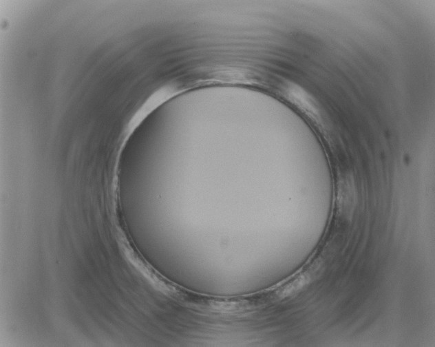 X0000081301378200701251707