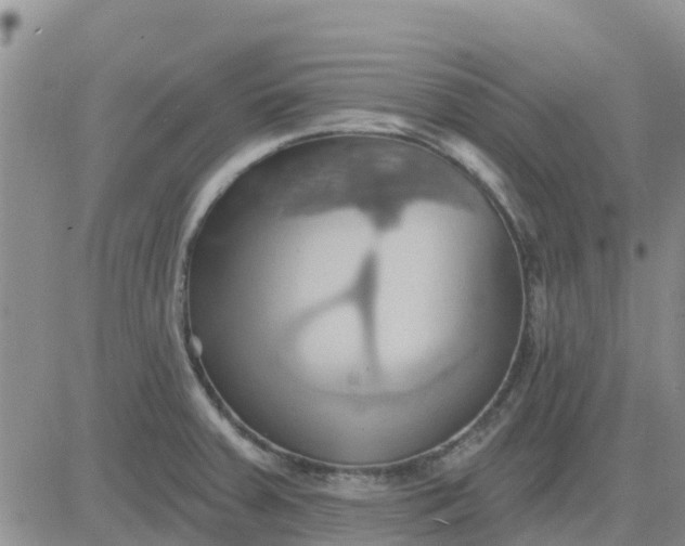 X0000081301379200701251707