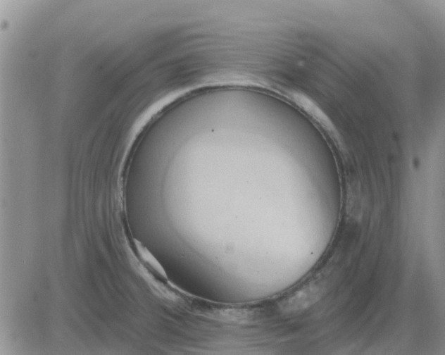 X0000081301380200701251707