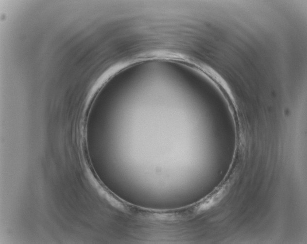 X0000081301381200701251707