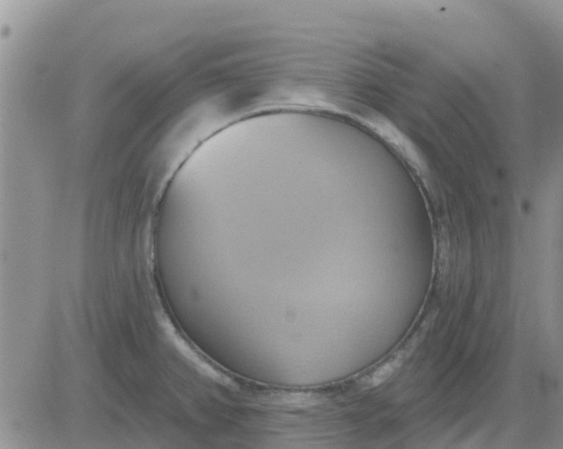 X0000081301382200701251707