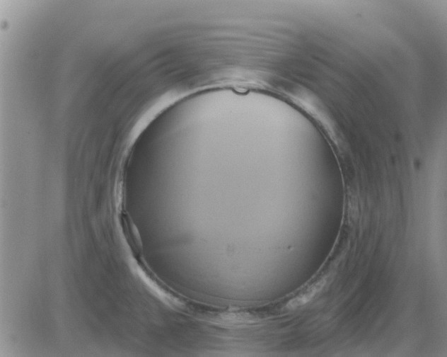 X0000081301383200701251707