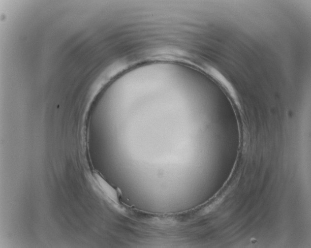 X0000081301384200701251707