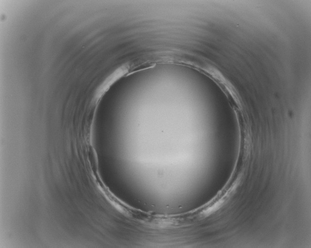 X0000081301385200701251707