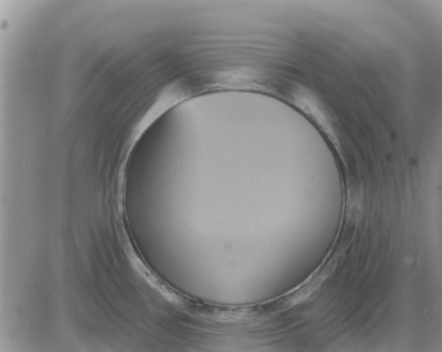 X0000081301386200701251707