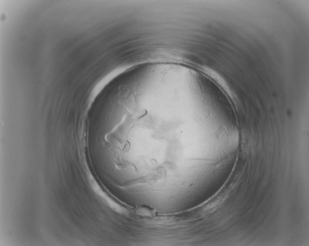 X0000081301387200701251707