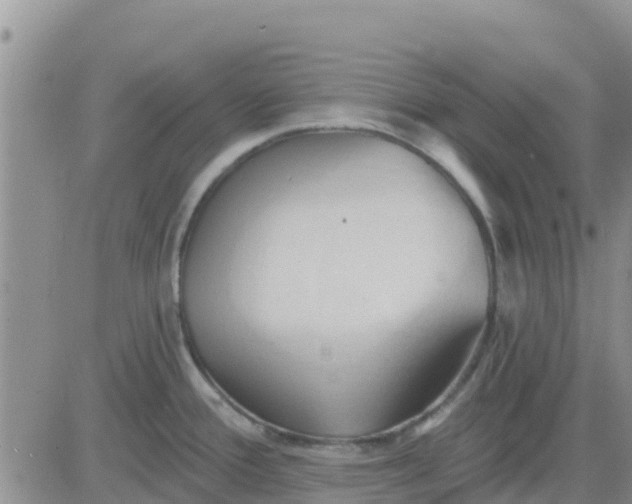 X0000081301388200701251707