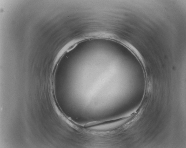 X0000081301389200701251707