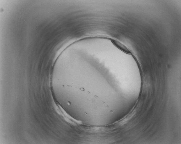 X0000081301390200701251707