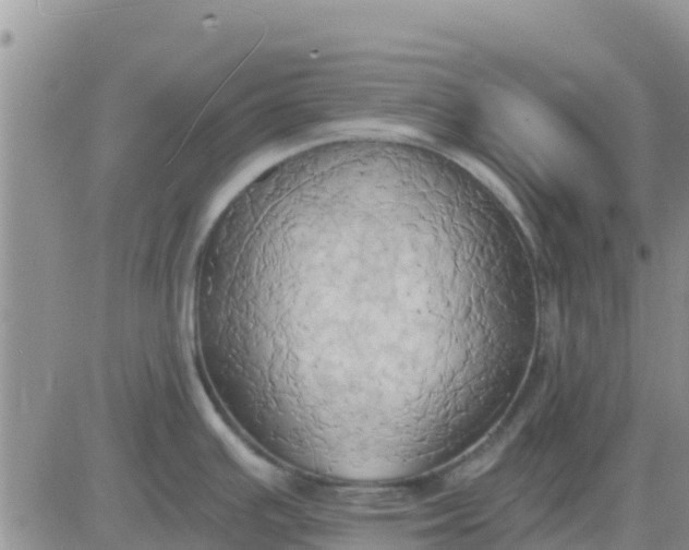 X0000081301391200701251707