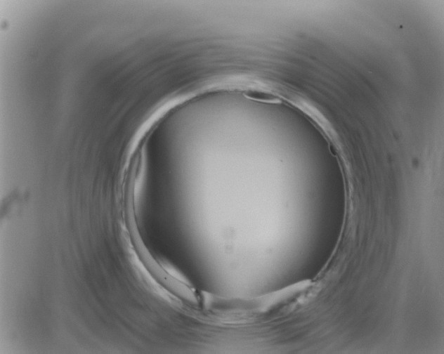 X0000081301392200701251707