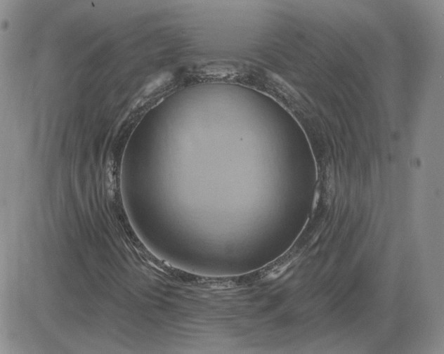 X0000081301394200701251706